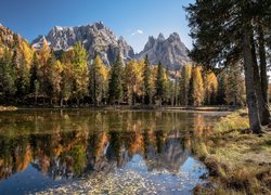 Jesień, Góry, Las, Drzewa, Świerki, Jezioro, Odbicie, Trawa, Południowy Tyrol, Dolomity, Włochy