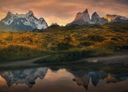 Chile, Patagonia, Góry, Torres del Paine, Rzeka, Jesień, Roślinność