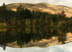 Góry, Jezioro, Loch Leven, Drzewa, Odbicie, Lasy, Glencoe Lochan, Szkocja