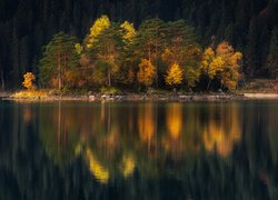Odbicie jesiennych drzew w wodzie