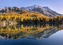 Szwajcaria, Góry, Jezioro, Drzewa, Jesień