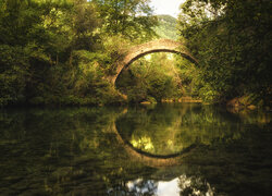 Las, Drzewa, Most, Pont Des Tuves, Rzeka Siagne, Odbicie, Montauroux, Francja