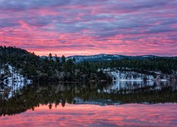 Wschód słońca, Kolorowe, Niebo, Góry, Jezioro, Lynx Lake, Drzewa, Odbicie, Arizona, Stany Zjednoczone