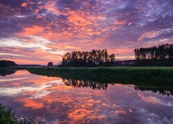 Rzeka, Narew, Kolorowe, Niebo, Zachód słońca, Chmury, Drzewa, Trawa, Odbicie, Polska