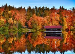 Odbicie kolorowych jesiennych drzew w jeziorze