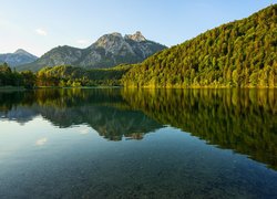 Góry, Jezioro Schwansee, Drzewa, Odbicie, Bawaria, Niemcy