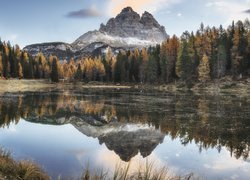 Jezioro, Antorno Lake, Góry, Dolomity, Masyw, Tre Cime di Lavaredo, Drzewa, Prowincja Belluno, Włochy