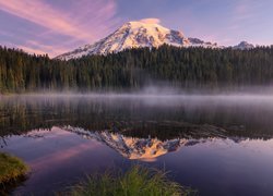 Góra, Stratowulkan Munt Rainier, Park Narodowy Mount Rainier, Drzewa, Las, Mgła, Odbicie, Jezioro, Bench Lake, Stan Waszyngton, Stany Zjednoczone