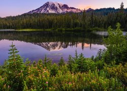 Odbicie ośnieżonego stratowulkanu Mount Rainier w jeziorze