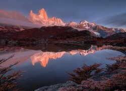 Odbicie ośnieżonego szczytu Fitz Roy w jeziorze