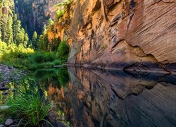 Odbicie skał i krzewów w West Clear Creek w Arizonie