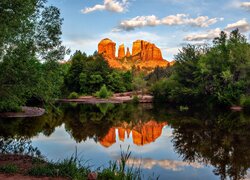 Cathedral Rock, Skały, Odbicie, Rzeka, Oak Creek, Drzewa, Sedona, Arizona, Stany Zjednoczone