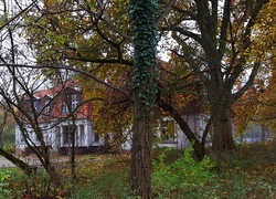 Odrestaurowany, Dworek, Park, Jesień