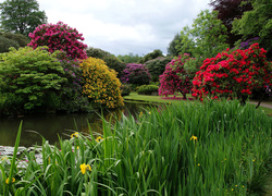 Ogród Biddulph Grange w Anglii