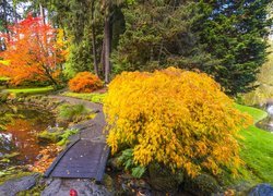 Ogród botaniczny Bloedel Reserve Bainbridge jesienią