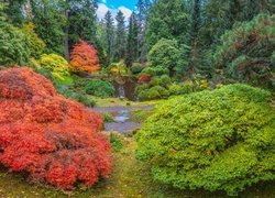 Ogród botaniczny Bloedel Reserve Bainbridge jesienną porą