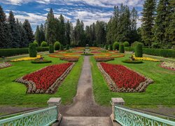 Ogród botaniczny Duncan Gardens w Waszyngtonie