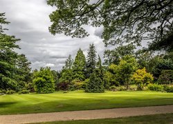 Ogród Garden Harlow Carr w Anglii