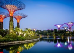 Singapur, Futurystyczny ogród Gardens by the Bay, Woda, Światła, Wieczór, Zatoka, Krzaki, Drzewa, Odbicie