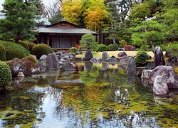 Ogród japoński Seiryu-en garden, Zamek Nijo, Kioto, Japonia, Staw, Kamienie, Drzewa, Krzewy