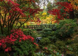 Ogród japoński w Portland jesienią
