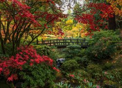 Ogród japoński, Drzewa, Krzewy, Mostek, Jesień, Portland Japanese Garden, Portland, Oregon, Stany Zjednoczone