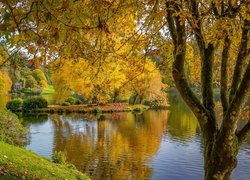 Anglia, Hrabstwo Wiltshire, Posiadłość Stourhead, Park, Jezioro, Altanka, Jesień