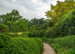 Ogród Powis Garden w Welshpool