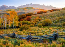 Stany Zjednoczone, Stan Kolorado, Telluride, Jesień, Góry, San Juan Mountains, Kolorowe, Drzewa, Ogrodzenie