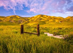 Ogrodzenie na łące w Rezerwacie przyrody Carrizo Plain National Monument