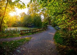 Park, Droga, Ogrodzenie, Staw