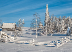 Ogrodzone domy i drzewa w zimowym krajobrazie