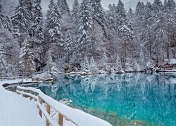 Ogrodzone leśne jezioro zimą