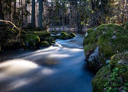 Omszałe głazy nad rzeką w lesie