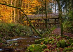 Omszałe kamienie i mostek nad potokiem