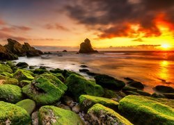 Omszałe kamienie na brzegu morza w zachodzącym słońcu