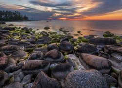 Omszałe kamienie na morskim brzegu w zachodzącym słońcu
