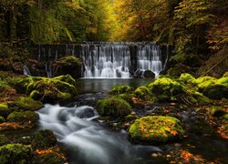 Omszałe kamienie w potoku i wodospad na skałach w jesiennym lesie