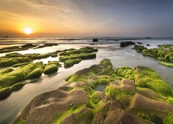 Omszałe skały na tle wschodzącego słońca nad morzem