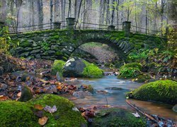 Omszały kamienny most i kamienie w leśnej rzece