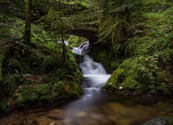 Omszały kamienny most nad leśną rzeką