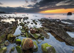 Omszone skały i kamienie na brzegu morza