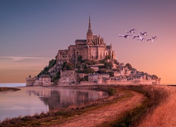 Francja, Wyspa Mont Saint-Michel, Zatoka Wzgórza Świętego Michała, Opactwo św. Michała Archanioła, Morze, Ptaki