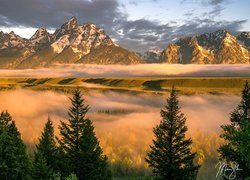 Park Narodowy Grand Teton, Góry, Teton Range, Las, Drzewa, Chmury, Mgła, Rzeka, Snake River, Stan Wyoming, Stany Zjednoczone