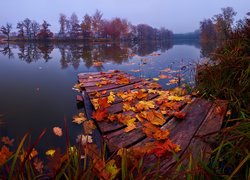 Jesień, Jezioro, Drzewa, Opadłe, Liście, Pomost