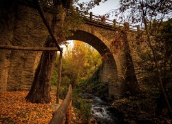 Opadłe liście i kamienny most nad rzeką