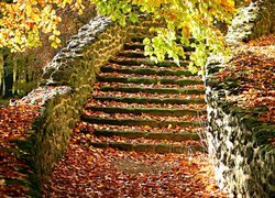Opadłe liście na kamiennych schodach