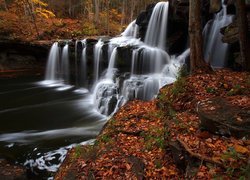 Las, Drzewa, Wodospad, Brush Creek Falls, Skały, Opadłe, Liście, Jesień, Wirginia Zachodnia, Stany Zjednoczone