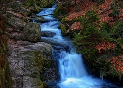 Wodospad, Resov Falls, Las, Skały, Rośliny, Brązowe, Liście, Czechy