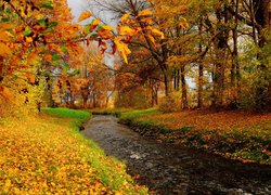 Jesień, Rzeka, Drzewa, Opadłe, Liście